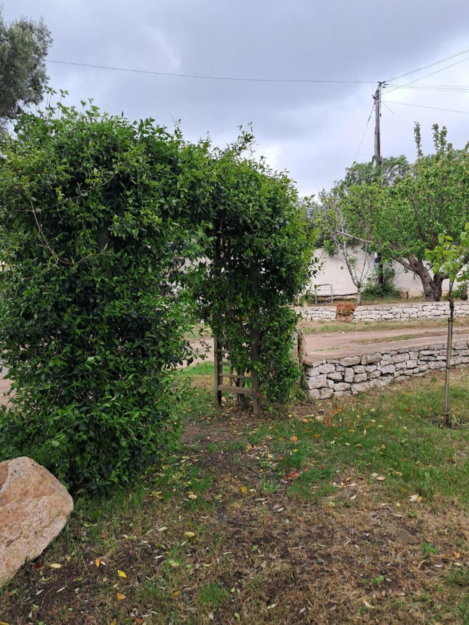 Mini Villa Giuseppina بونيفَسْيو المظهر الخارجي الصورة